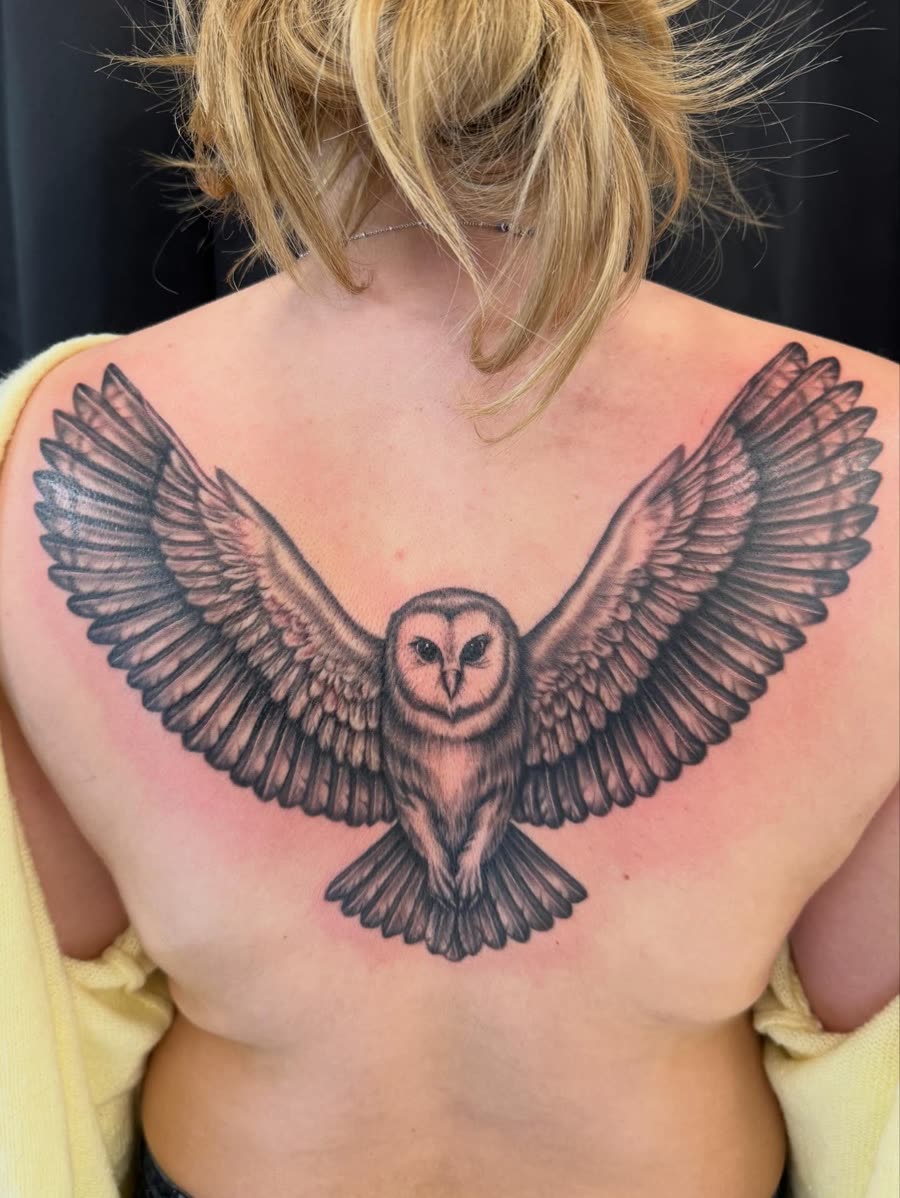 Black and grey barn owl with open wings across an upper back.