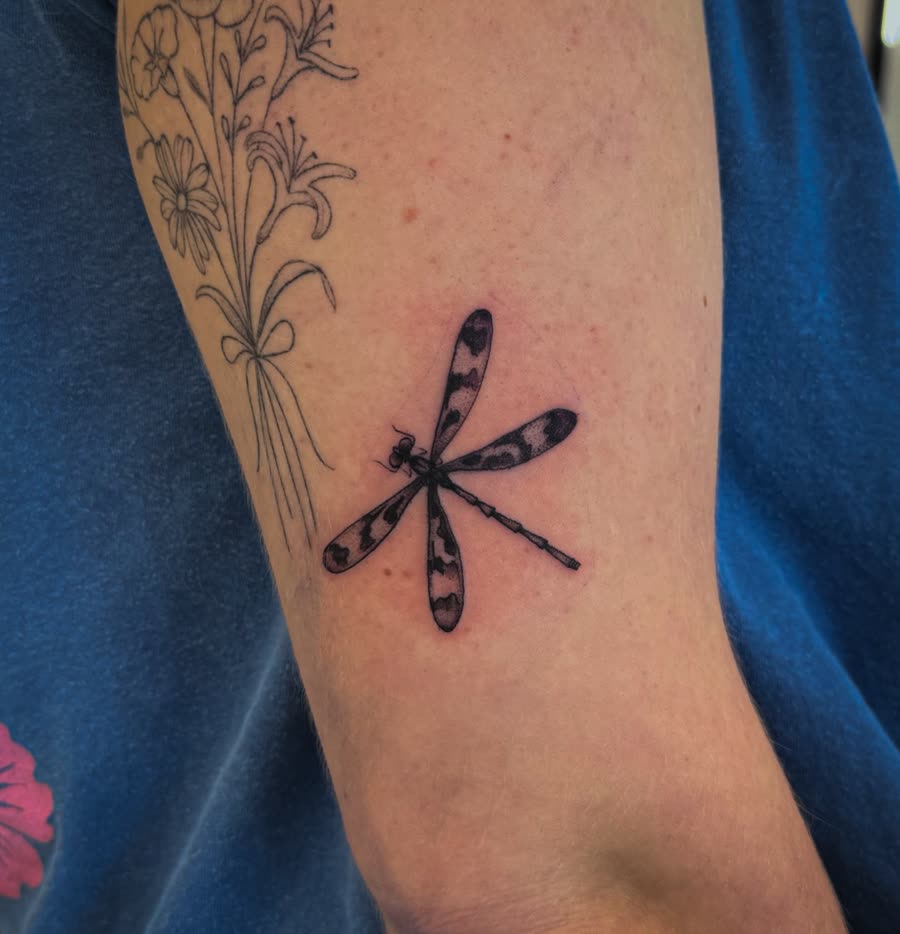 Fine line dragonfly and botanical stem tattooed on an upper back.